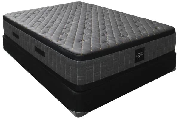 King sleeptronic cosmic miracle plush mattress